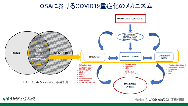 OSA COVID19.png