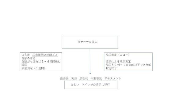 CQ 鈴木20211112 コラム用.jpg