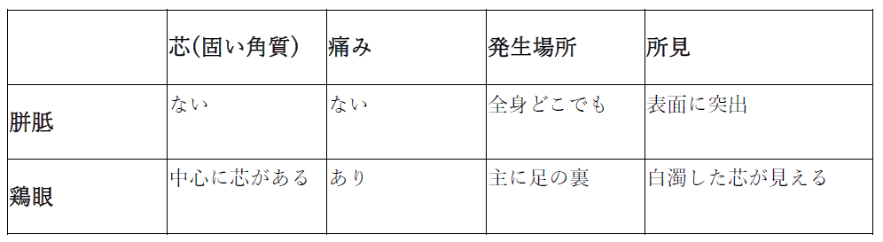 スクリーンショット 2025-11-20 155340.png