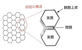 画像1.png